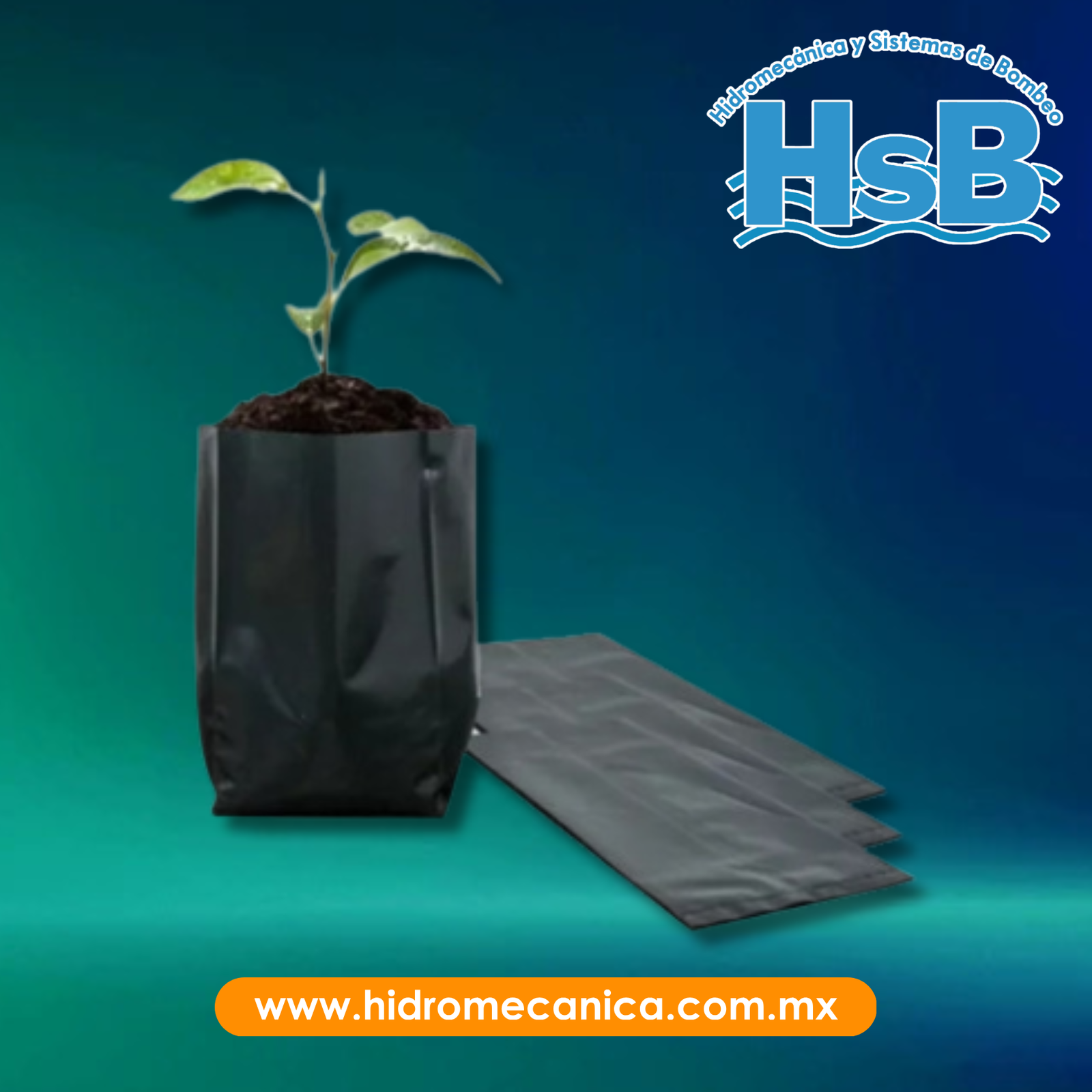 Imágen Producto